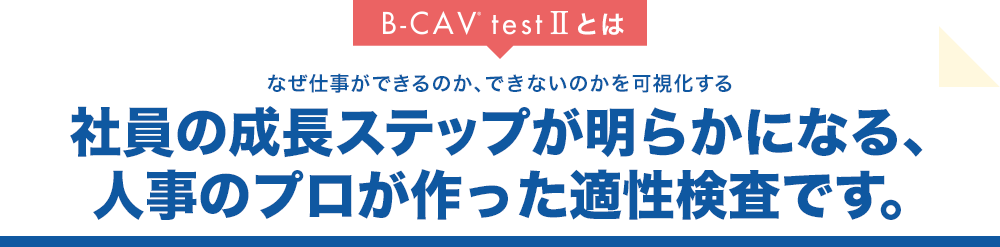 B-CAV test Ⅱとは